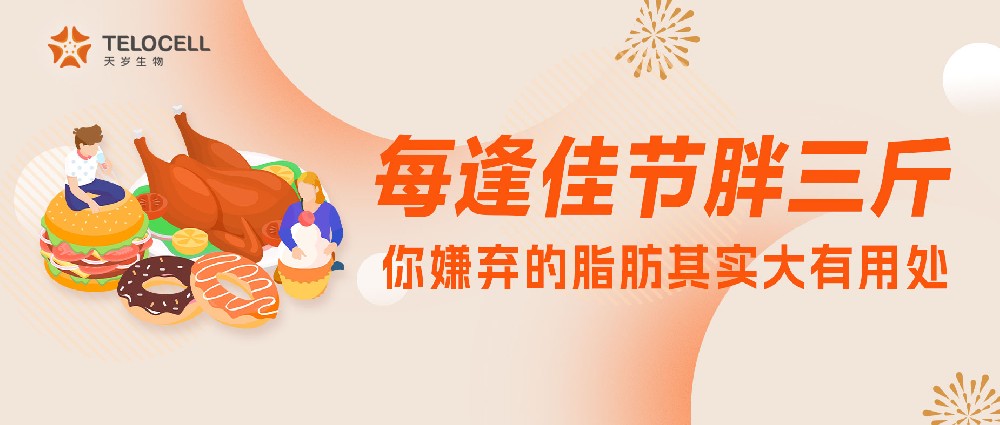 每逢佳節胖三斤？你嫌棄的脂肪其實大有用處！