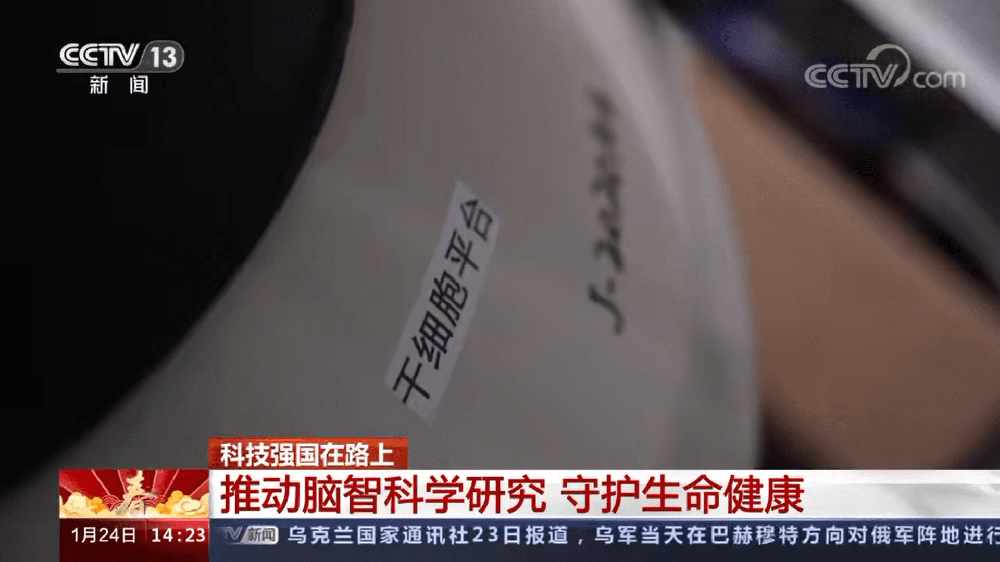 央視新聞：干細胞治療近年逐漸成熟并進入臨床轉化?