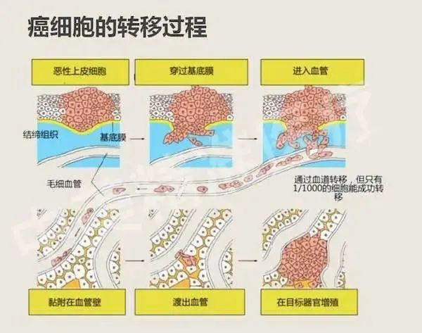 微信圖片_20230222161049.jpg