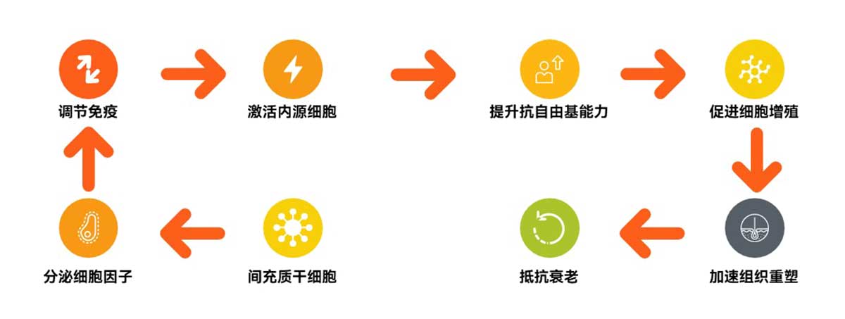 kangshuaiyuanli.jpg