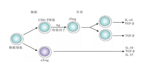 調(diào)節(jié).jpg